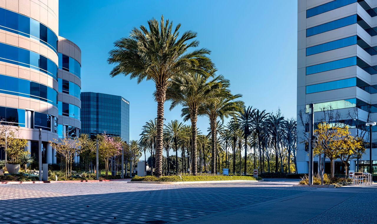 Palms and a paver plaza between curved glass office towers in an Irvine business park, the corporate campus work FinTruction job costs