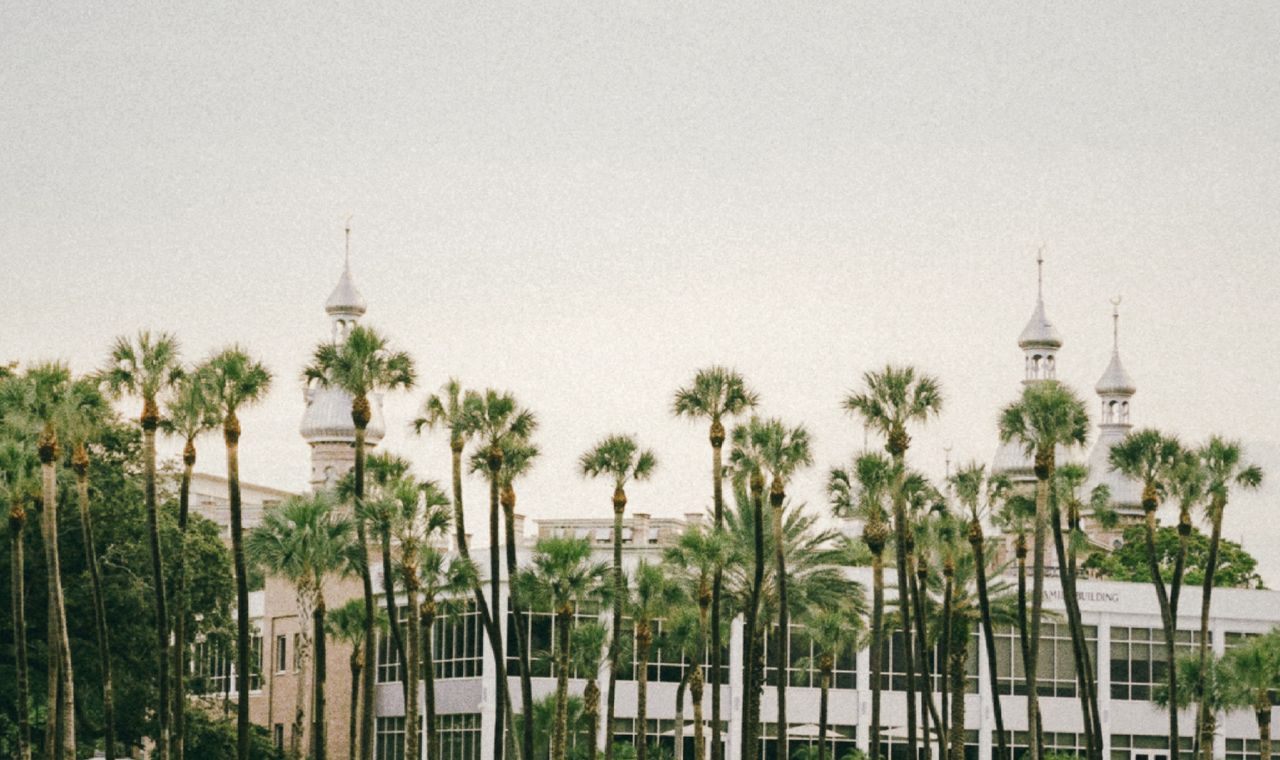 The University of Tampa silver minarets rising above a row of palm trees, in the Tampa Bay market FinTruction handles contractor job-cost coding for