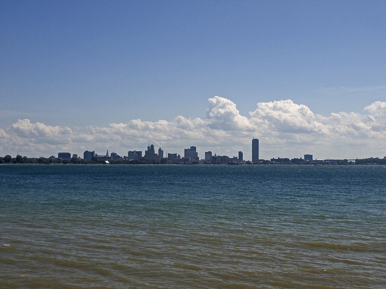 Buffalo skyline